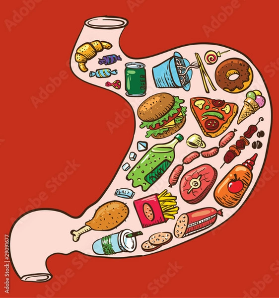 Obraz Fast food stomach