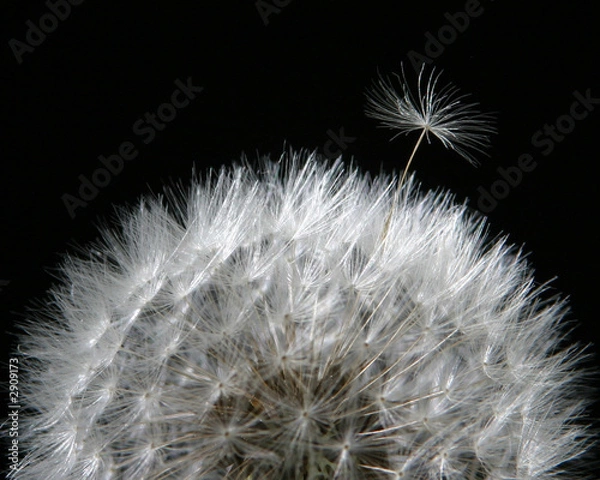 Obraz it's time to leave