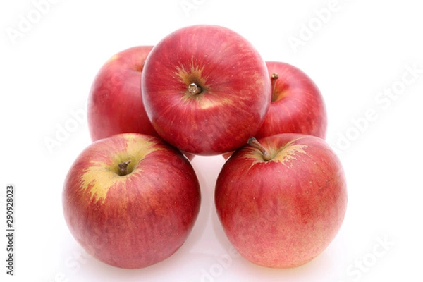 Obraz リンゴ　果物