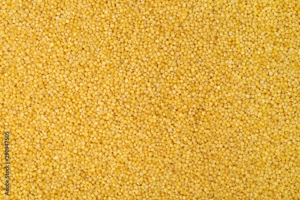 Obraz Millet yellow background 