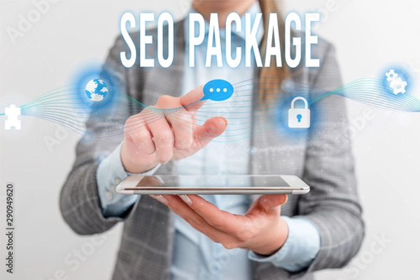 Fototapeta Handwriting text Seo Package. Conceptual photo practice of search engine optimization increase amount visitors Female human wear formal work suit presenting presentation use smart device