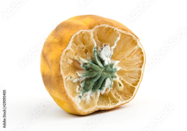 Obraz moldy lemon
