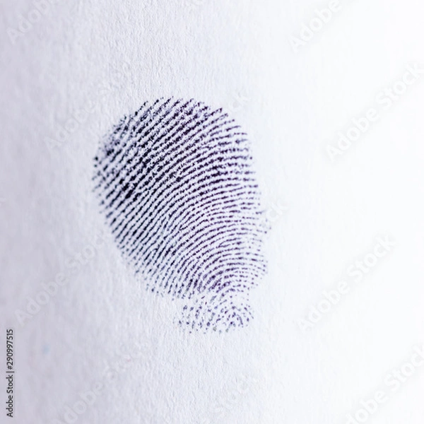 Obraz Emprunte digitale