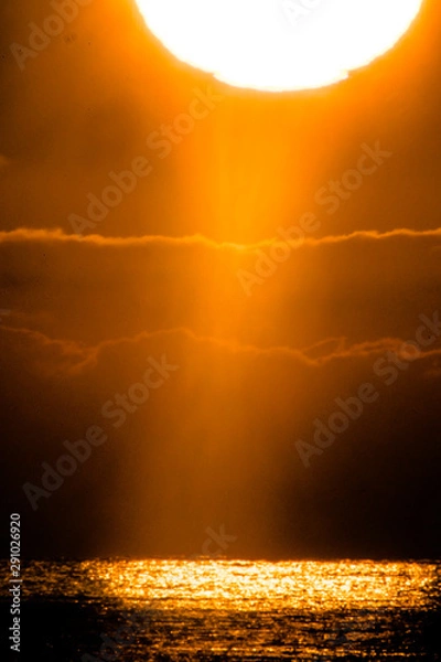 Obraz sunset in desert