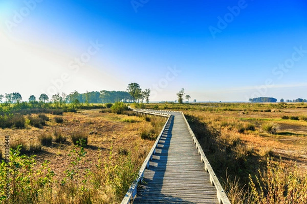 Fototapeta National Park Dwingelderveld in the Dutch province of Drenthe is a permanent nature reserve in original landscape with marsh and wooden walkways to protect vulnerable ground