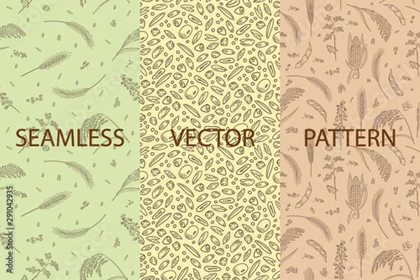 Obraz Vector set of packaging design templates, seamless patterns