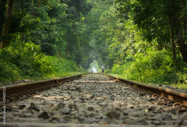 Fototapeta railway in the forest