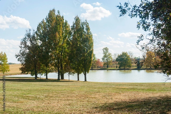 Fototapeta Pond and trees