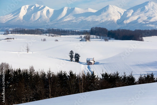 Fototapeta 冬の畑作地帯と山並み　十勝岳連峰