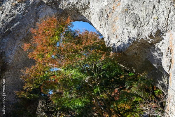 Obraz 妙義山の第一石門とイロハモミジの紅葉
