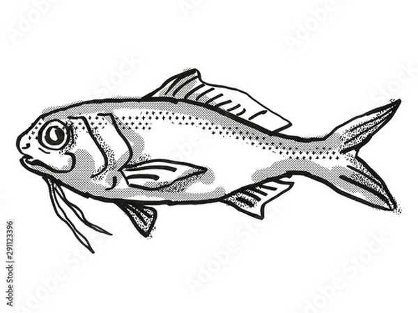 Fototapeta Berndt's Beardfish Australian Fish Cartoon Retro Drawing