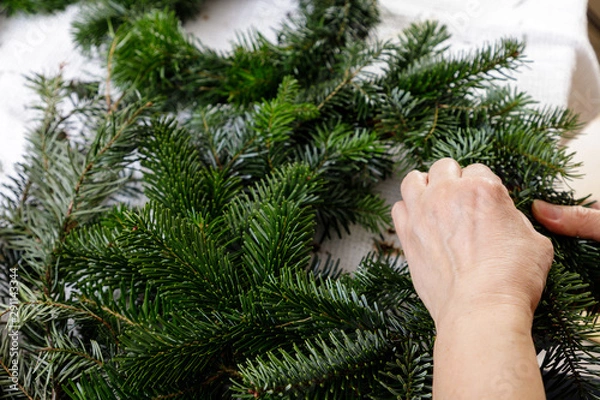 Fototapeta Hands of a woman make Christmas Advent wreath from fir twigs