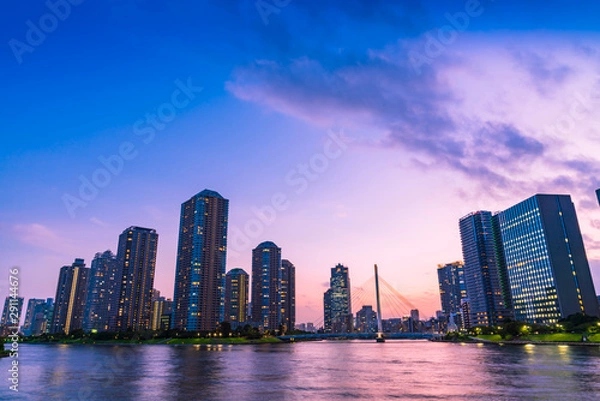 Fototapeta 永代公園からみた佃島のタワーマンションの夜景(東京都中央区)