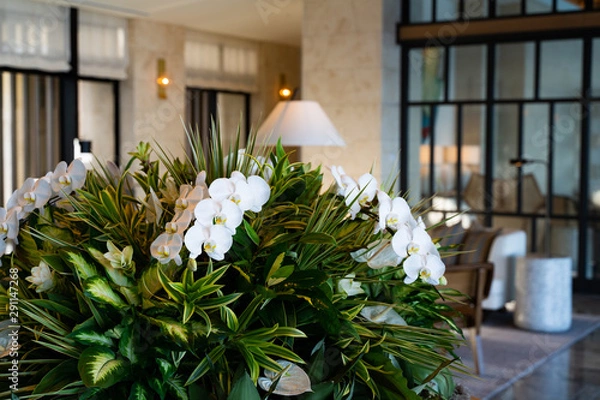 Obraz リゾートホテルのエントランスで華やかにお迎えする緑豊かな花