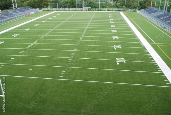 Fototapeta アメリカンフットボールコートの芝