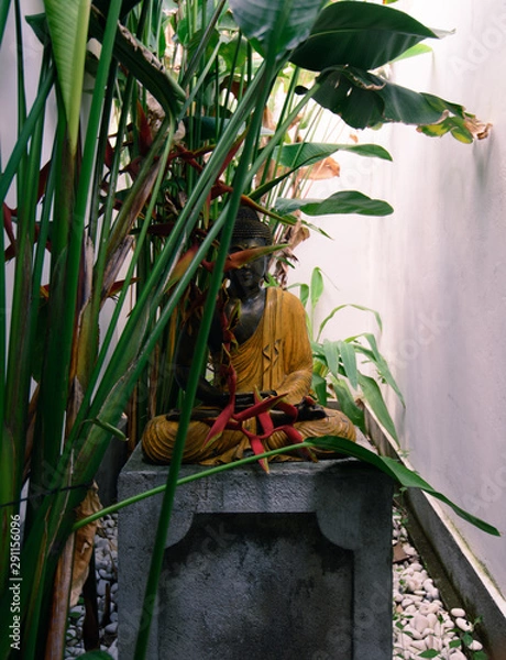 Obraz Buddha statue hidden in plants