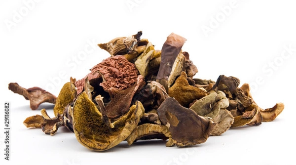 Obraz dried mushrooms