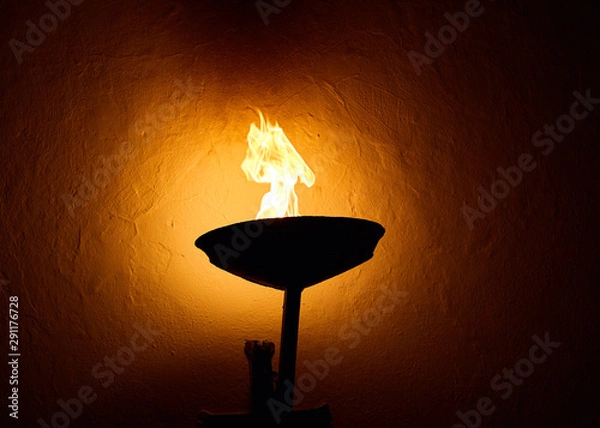 Obraz Flame from a torch