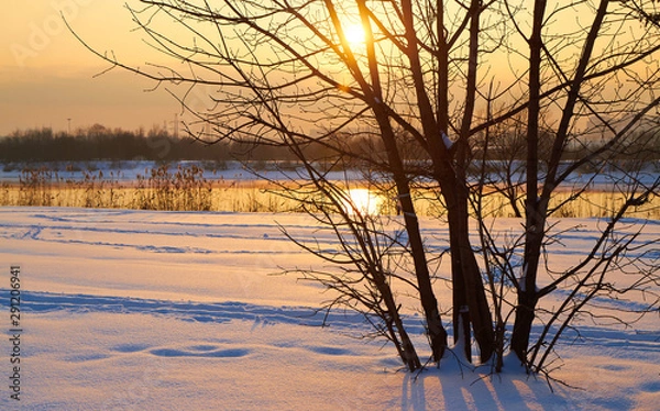 Obraz Winter landscape with snow covered tree branches