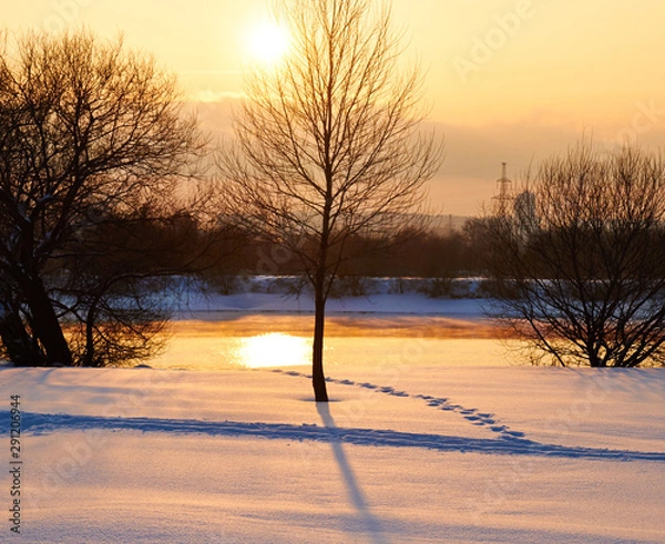 Obraz Winter landscape with snow covered tree branches