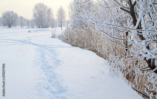 Obraz Winter landscape with snow covered tree branches
