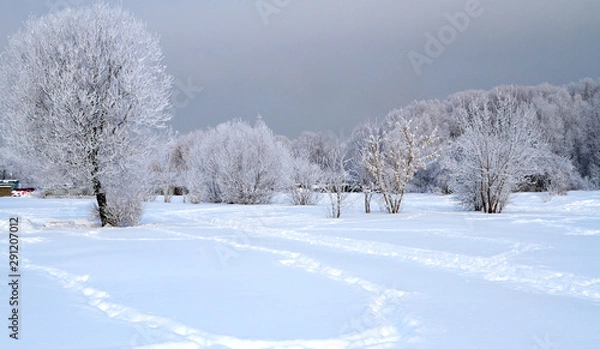 Obraz Winter landscape with snow covered tree branches