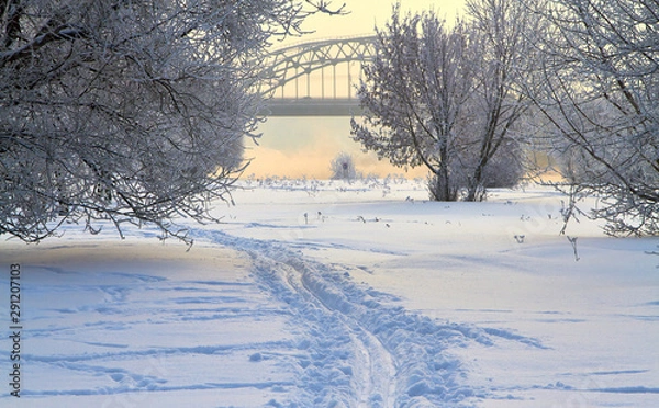 Obraz Winter landscape with snow covered tree branches
