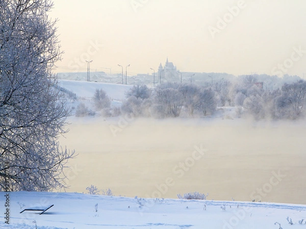 Obraz Winter landscape with snow covered tree branches