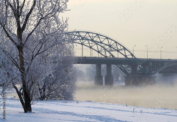 Obraz Winter landscape with snow covered tree branches