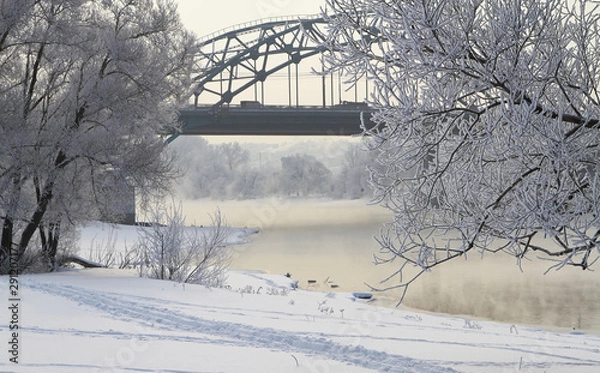 Obraz Winter landscape with snow covered tree branches