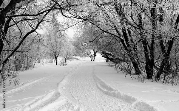 Obraz Winter landscape with snow covered tree branches