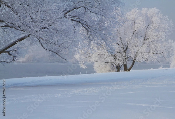 Fototapeta Winter landscape with snow covered tree branches