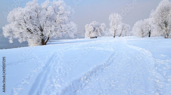 Obraz Winter landscape with snow covered tree branches