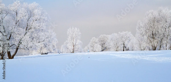 Obraz Winter landscape with snow covered tree branches