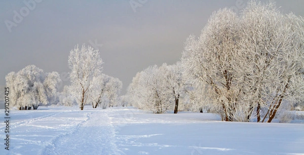 Obraz Winter landscape with snow covered tree branches