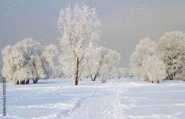 Obraz Winter landscape with snow covered tree branches