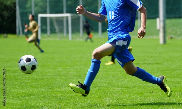 Fototapeta サッカー　フットボール