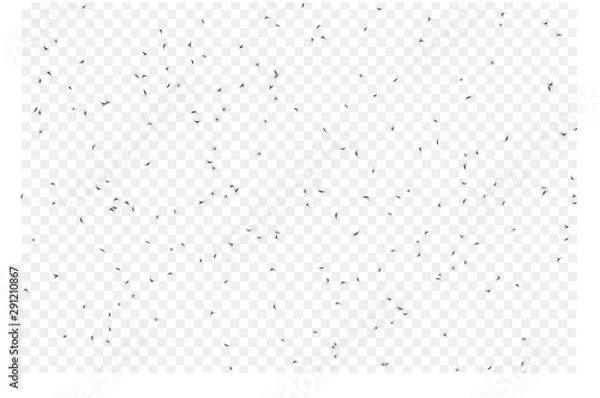 Fototapeta vector illustrative of group of mosquitoes flying on transparent background. concept design for baby protect spray from mosquitoes. mosquito is carrier bring disease to human