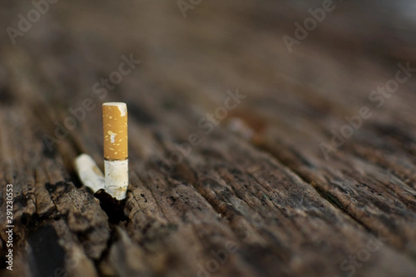 Obraz Close up cigarette on wood ,stop smoking concept.