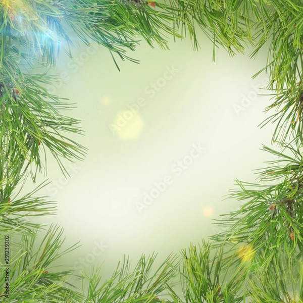 Fototapeta Pine twig on abstract green background with snowflakes