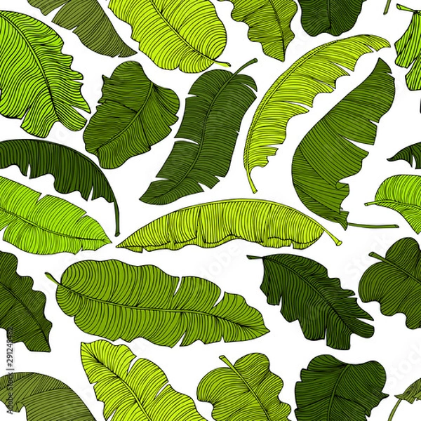 Fototapeta Seamless pattern of exotic banana leaves, randomly scattered and isolated on a transparent background.