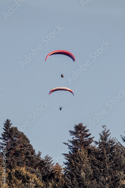 Obraz paraglider in the sky