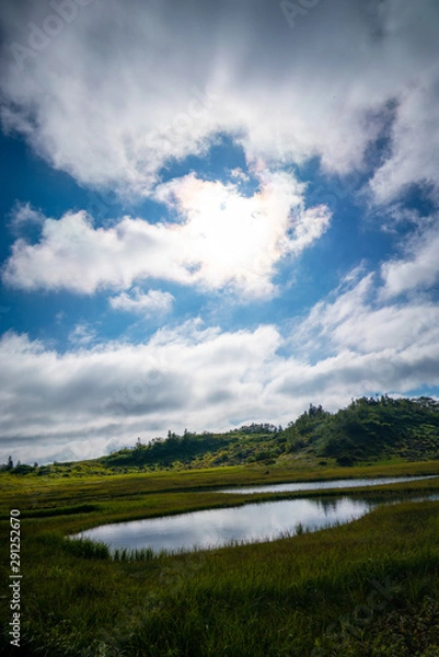 Fototapeta 火打山高谷池ヒュッテ周辺にある池沼