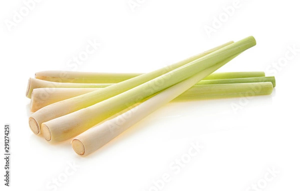Obraz lemon grass isolated on white background