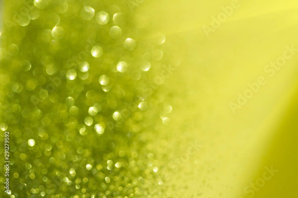 Obraz Abstract blurred bokeh background.