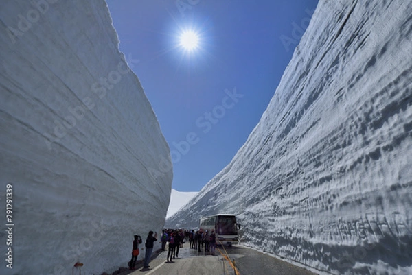 Fototapeta 富山県　立山　雪の大谷