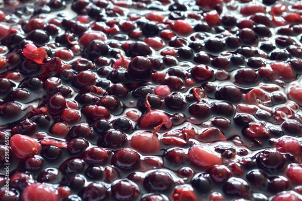 Fototapeta The process of  berry wort fermentation for making wine