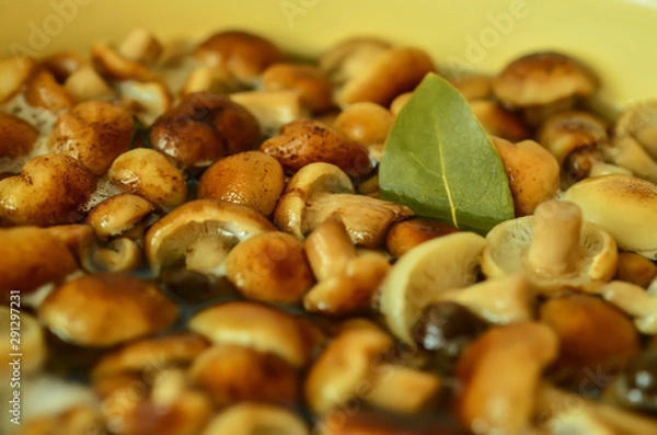 Fototapeta Soup of autumn mushrooms