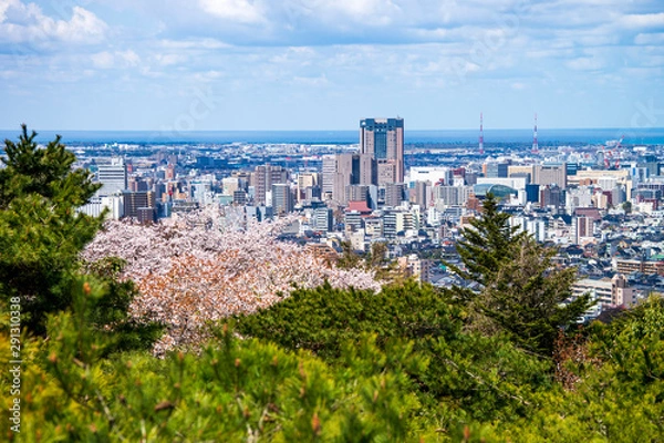 Fototapeta 桜が咲く春の卯辰山・望湖台から金沢駅方面の眺望