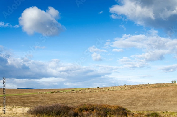 Fototapeta brown field and clouds background